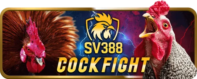Chương Trình VIP Letou